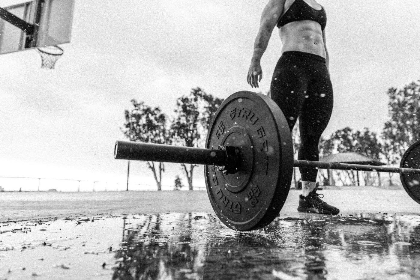 Phantom Series 20KG Cerakote Barbell - Tru Grit Fitness